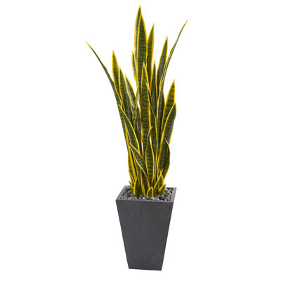 54 " H Faux Snake Plant in Stone Planter