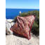 Kira Indoor / Outdoor Paisley Square Cushion