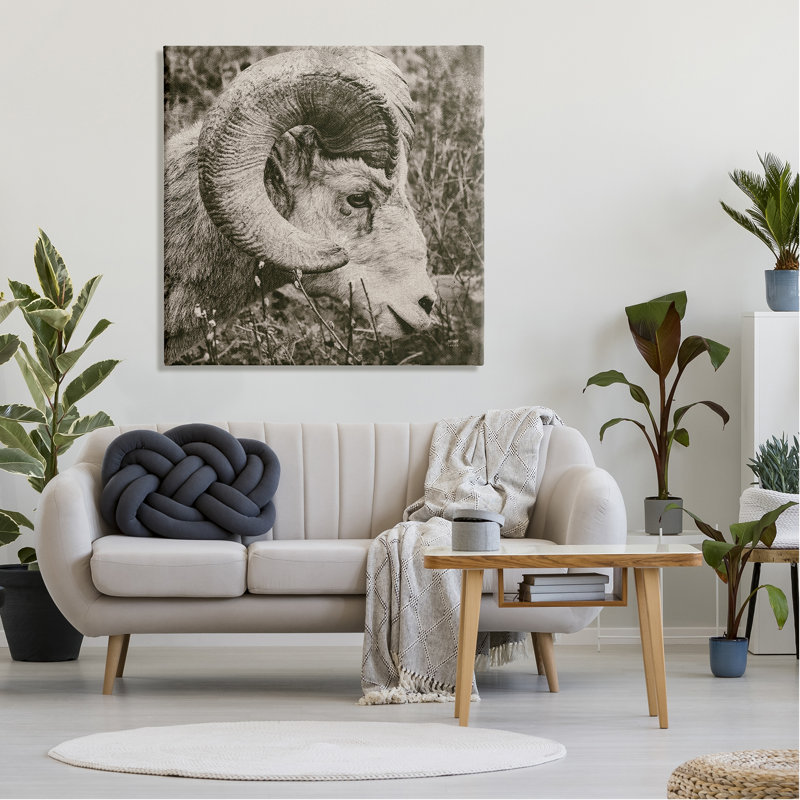Ram Ram, portrait sur toile par Nathan Larson, H 36 po x l 36 po x P 1,5 po