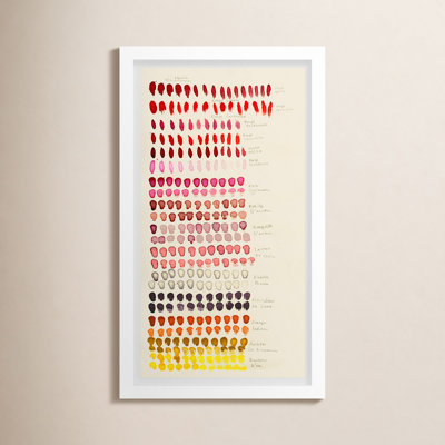 Swatch Rose Print by Susan Hable
