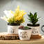 Plante artificielle en pot 6 "Sansevieria