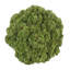 Sedum Arranged in a Stone Planter-1985559459-2010919692