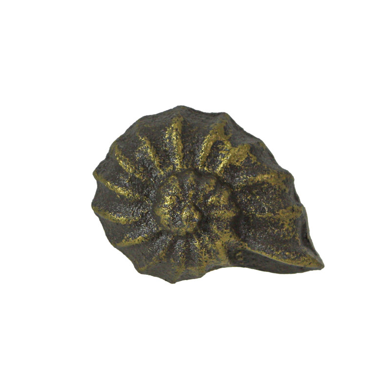 Multipack Nautilus Shell, Bronze