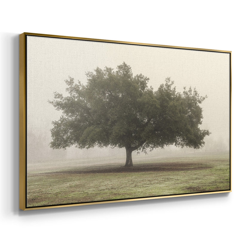 Arbres dans le brouillard II, Toile avec cadre doré, H 27 po x l 41 po x P 2 po