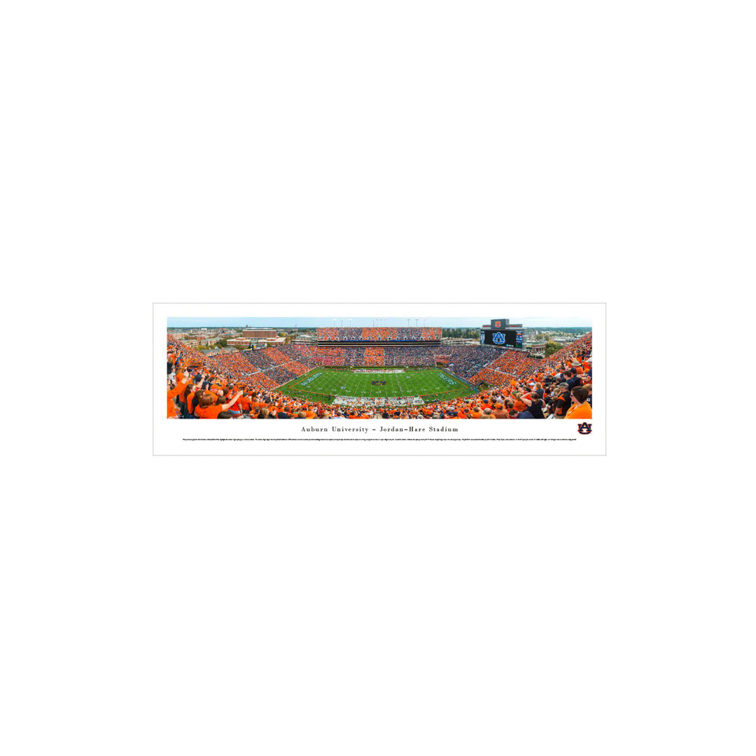NCAA " Auburn University Football - Stripe The Stadium " by James Blakeway Vault W Artwork