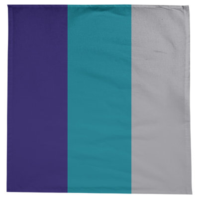 Charlotte Basketball Tablecloth