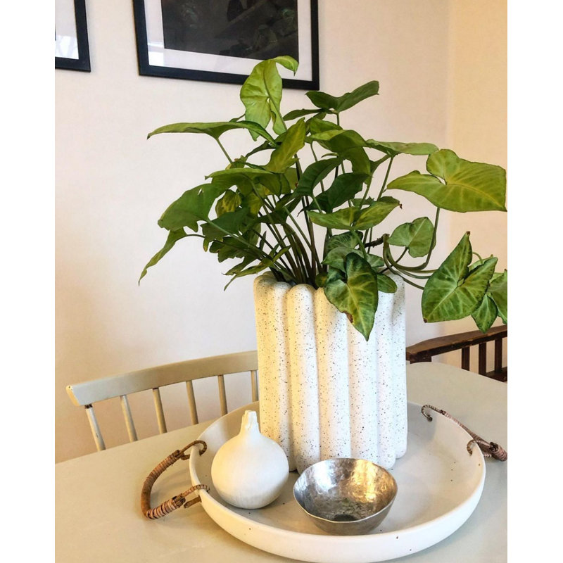 Ceramic Pot Planter, 9.06" H x 7.48" W x 7.48" D