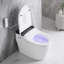 Toilette allongée intelligente avec bidet, options de chasse automatique, air chaud - Capteur de pied additionnel de salle de bain essentiel
