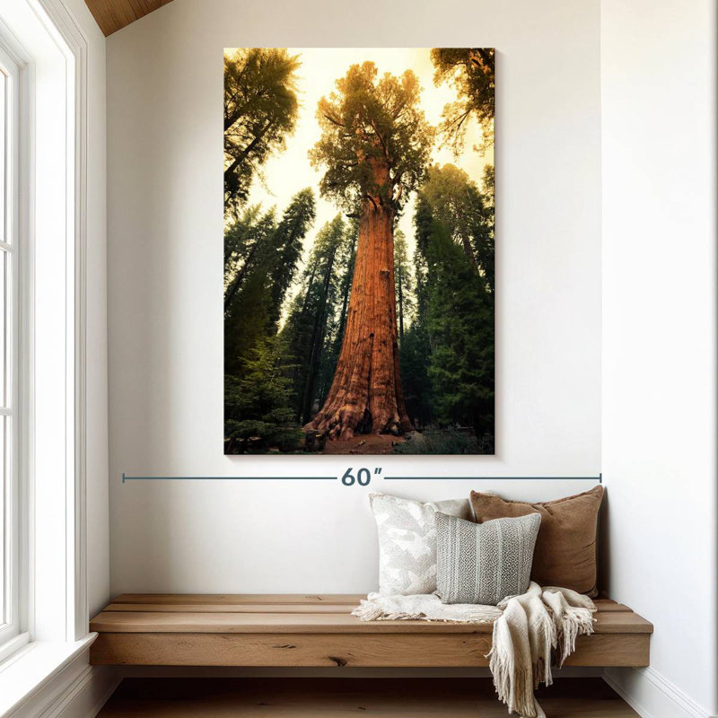 Alvord Twilight Sequoia National Park, H 51 po x l 34 po