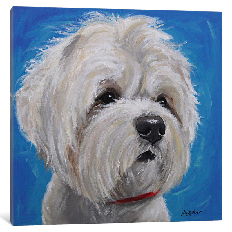 « maltais shihtzu mix pipa », reproduction sur toile tendue Hippie Hound Studios, H 12 po x l 12 po x P 0,75 po, Toile tendue