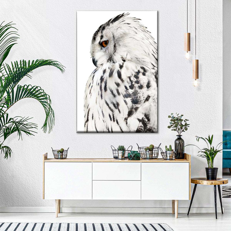 Hibou blanc sur toile, 20" H x 30" W x 1.25" D