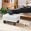 Nasira 40cm Wide Rectangle Solid Colour Footstool Ottoman-1157374019