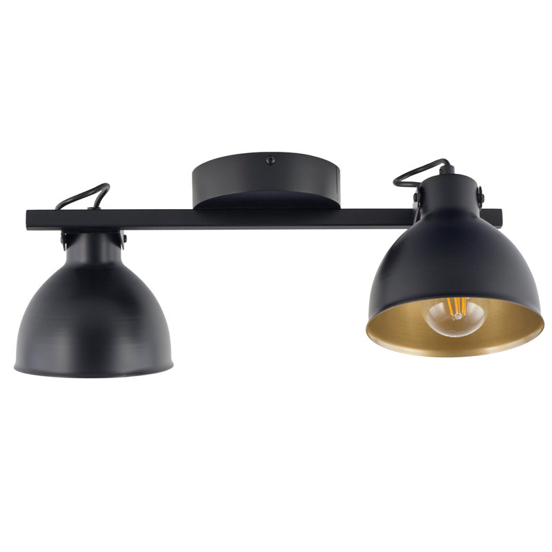 Mars Spotlight, Black