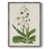 Distressed Silver Framed Canvas selected