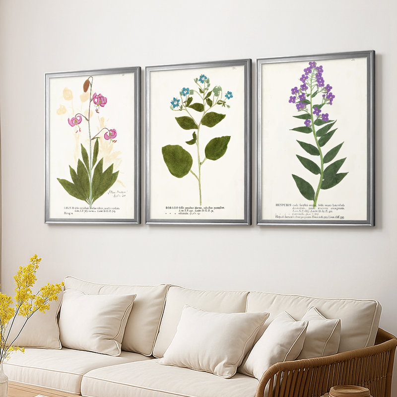 Nature imprimé Botanicals V - Toile tendue avec châssis sur mesure - 3 pièces, H 30 po x l 63 po, Argent argent