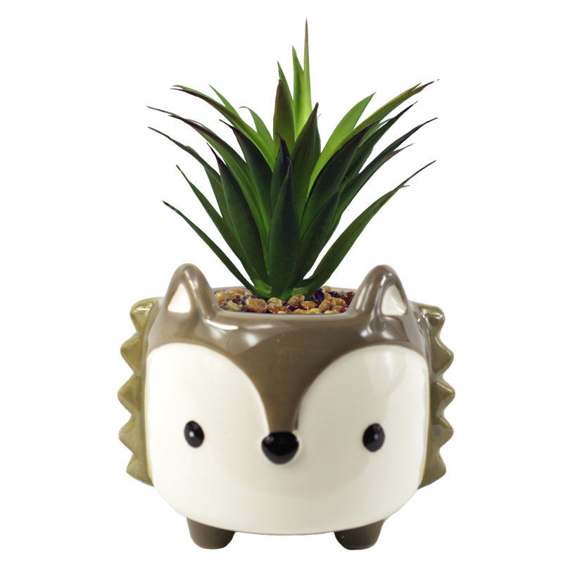 Annistin 18cm Plant