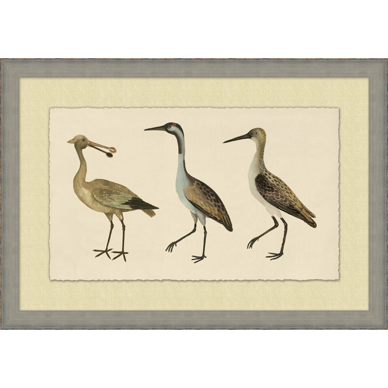 Coastal Birds 1 Print