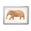 Éléphant sagesse II, reproduction encadrée de qualité supérieure - prête à être accrochée-547340002-547340001-547346030