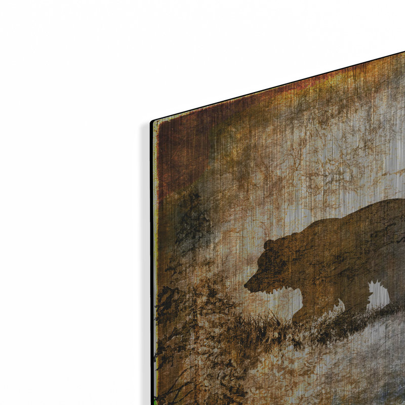 «High Country Bear» par Lightbox Journal, H 12 po x l 12 po
