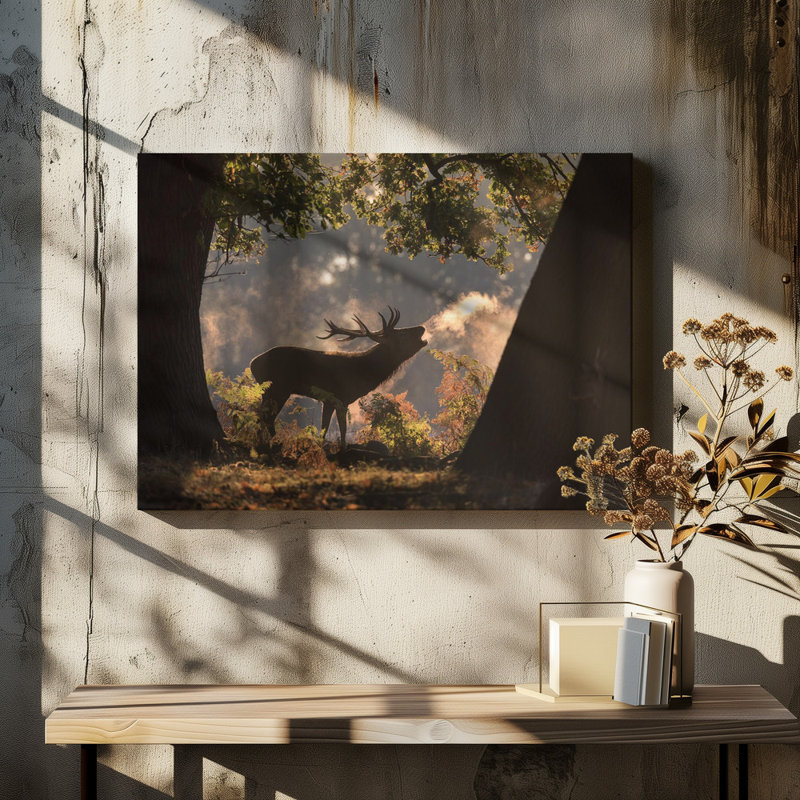 Wrapped Canvas Print, 50.8 cm H x 76.2 cm W