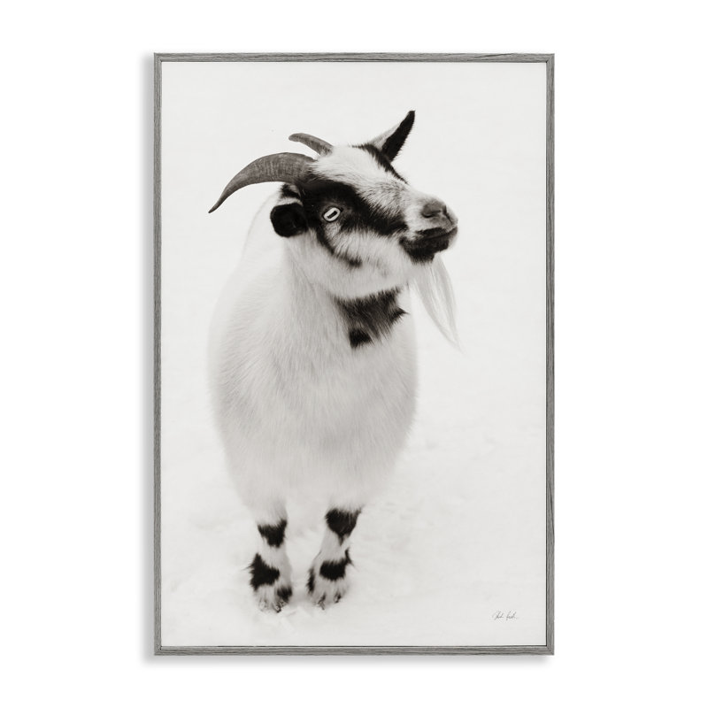 Giclée blanche encadrée de petite chèvre, design par Deborah Revell, Estampe numérique Farmhouse, H 24 po x l 16 po