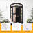 Tiernan Outdoor Wall Lantern-109706964-109706967