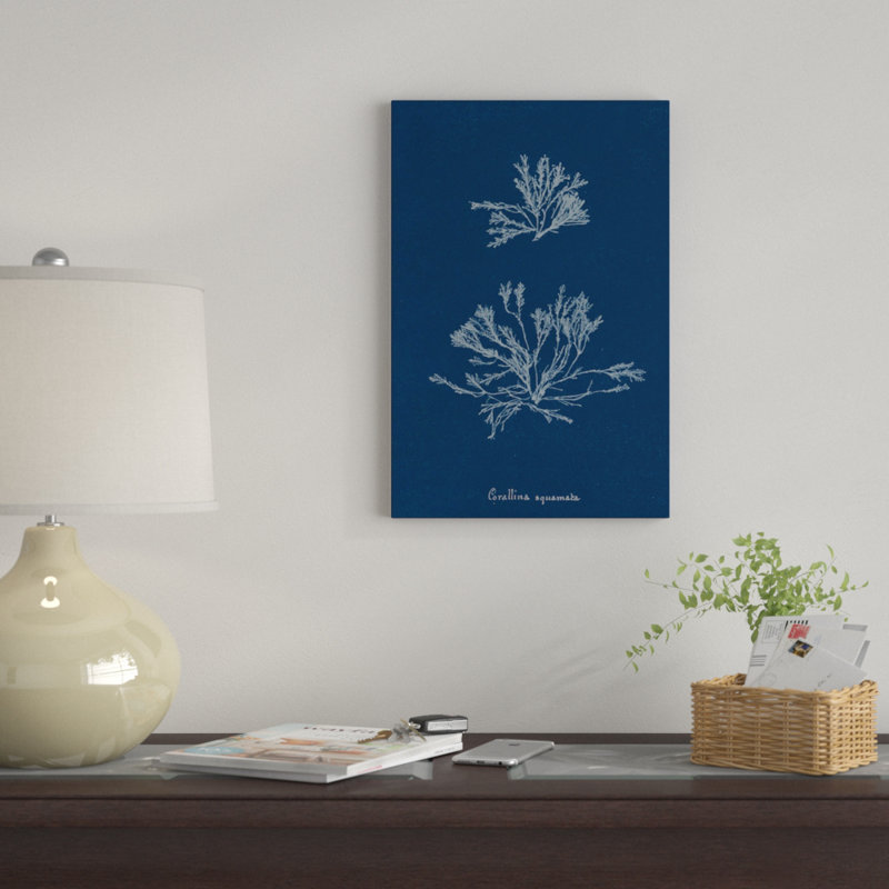 «Delicate Coral IV», impression sur toile, H 40 po x l 26 po x P 1,5 po, Toile tendue, Pas de tapis