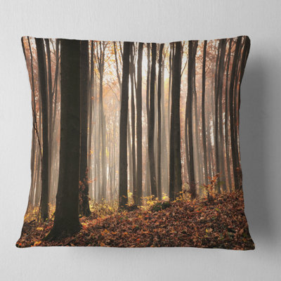 Throw Pillow