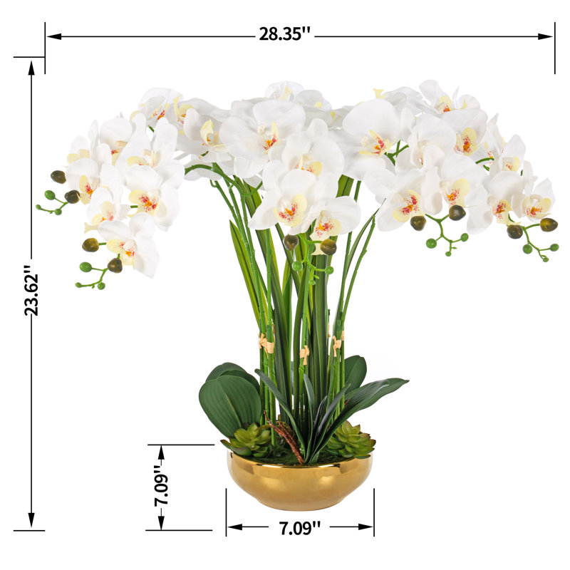 23.62" Tall White and Green Artificial Orchid Arrangement in Gold-Plated Ceramic Vase