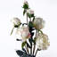 Plastic, Silk Artificial Arrangement-88684995