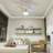 Ceiling Fan with LED Lights-100219586-100219587