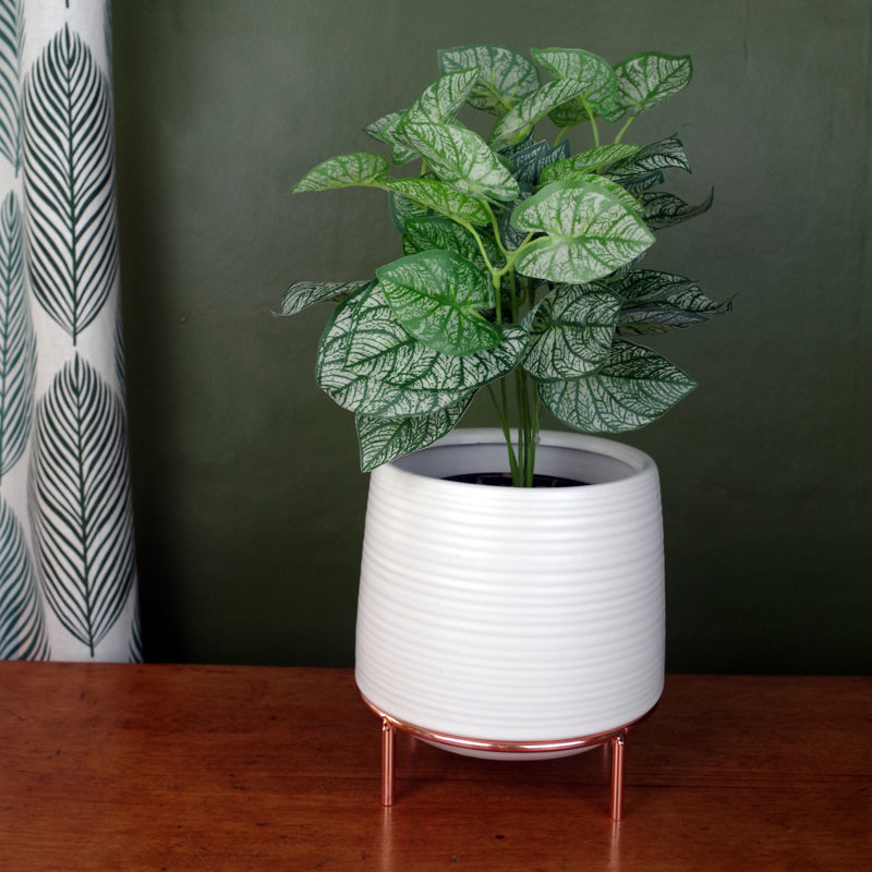 Ceramic Plant Pot