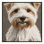  Tapis lavable Sealyham Terrier Dogs-1153720928