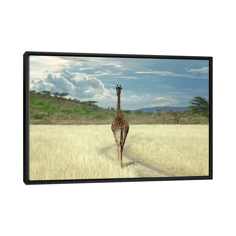 Until I Get There by Ben Heine - Print on Canvas, 101.6 cm H x 66.04 cm W, Black Framed