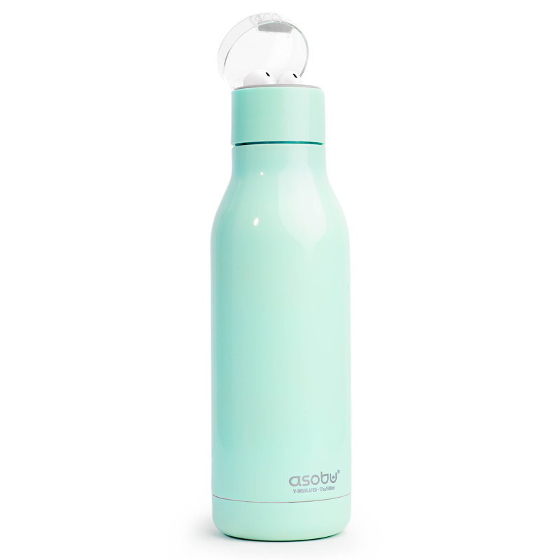 Asobu 600ml Double Wall Insulated Stainless Steel Water Bottle, Mint