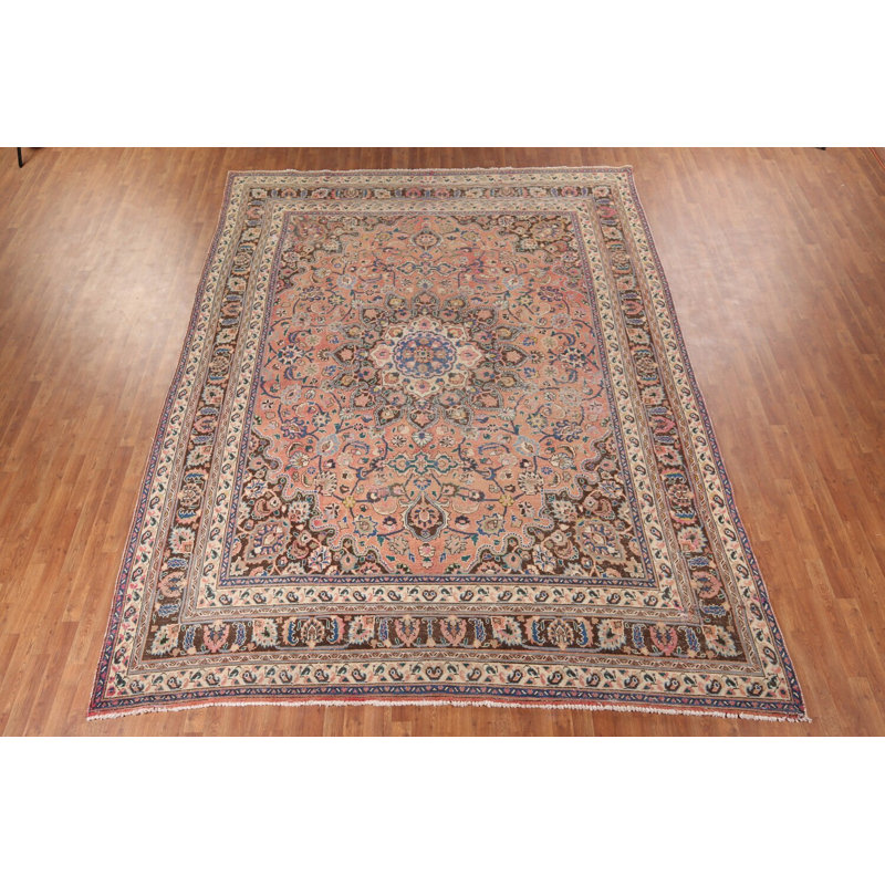 Distressed Wool Traditional Area Rug 10x13