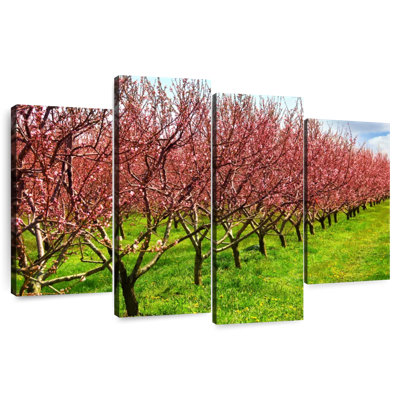 Fleurs de Harnek Peach Orchard