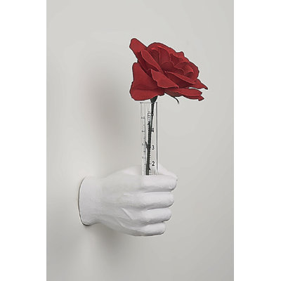 Seniha White Flower Vase Hand Wall Mount - 7" long