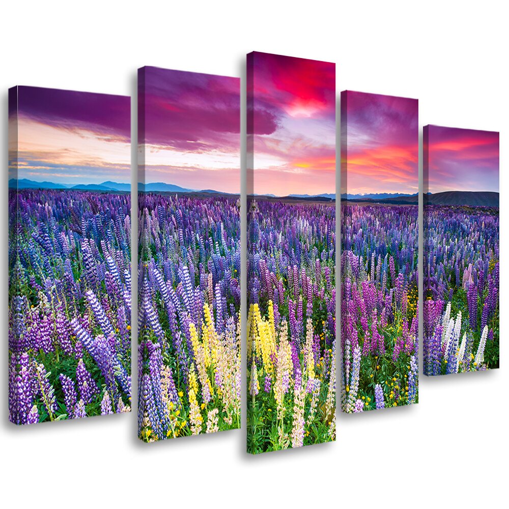 Leinwandbild Flower Meadow Lavender Landscape