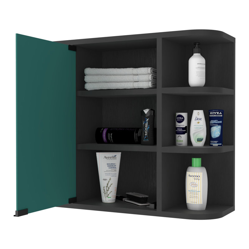 Roseburg 6-Shelf Medicine Cabinet, Black