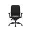 Steelcase Amia Ergonomic Task Chair-323515491-323515497-334359719