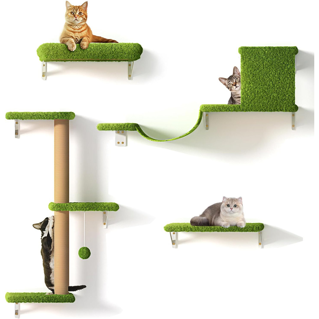 Cat Perch