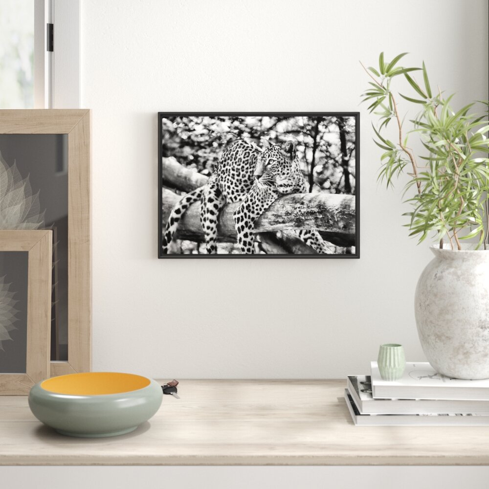 Gerahmtes Wandbild Leopard auf Ast