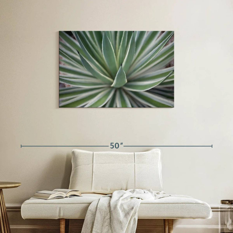 Harnek Where The Cactus Grows II, H 24 po x l 36 po