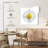 Harnek White Chamomile Flower-109032379