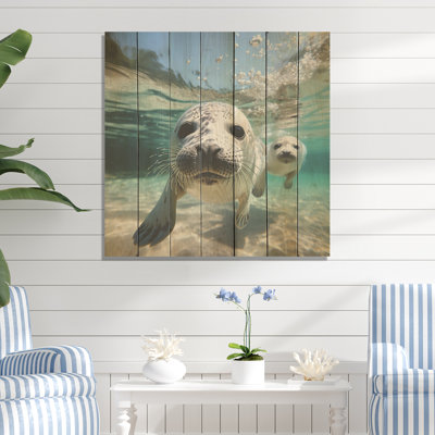 Lions de mer au jeu III - phoque / otarie marine sur bois