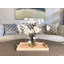 Organic Modern Butterfly Magnolia Arrangement