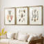 Knorr Shells & Coral IV - Impression encadrée sur mesure de qualité supérieure - 3 pièces-513750529-513750542