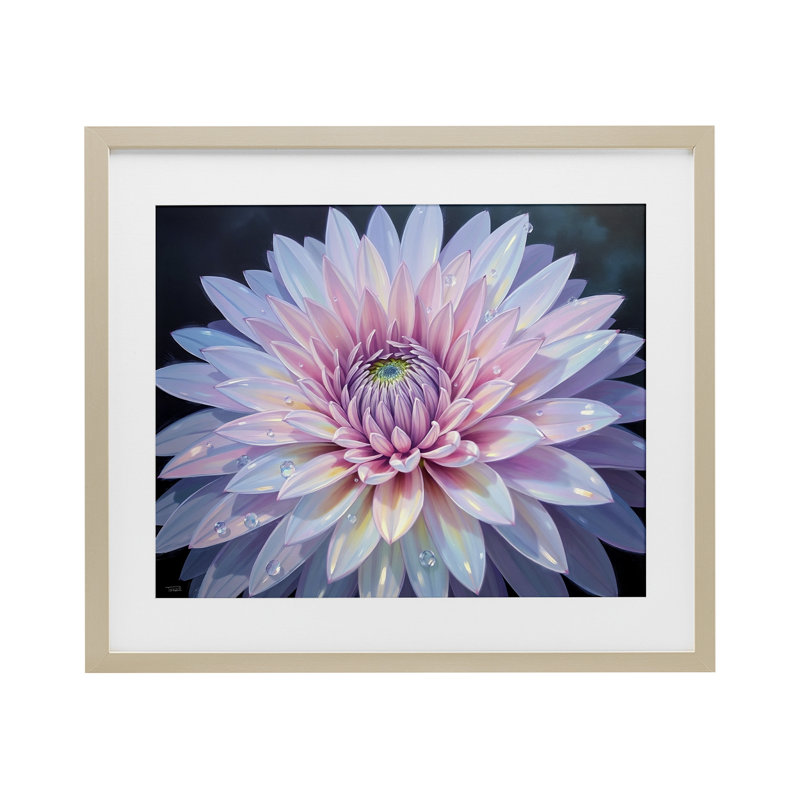 «Dew Kissed Pink Chrysanthemum», reproduction encadrée sous verre, conception de Tabz Jones, H 13 po x l 16 po