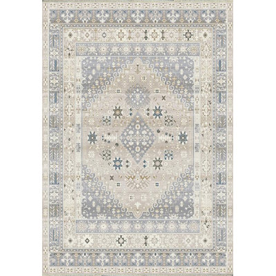 Oriental Indoor Rug
